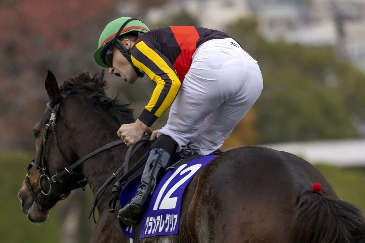 ゴール後には珍しく喜びを爆発させたルメール