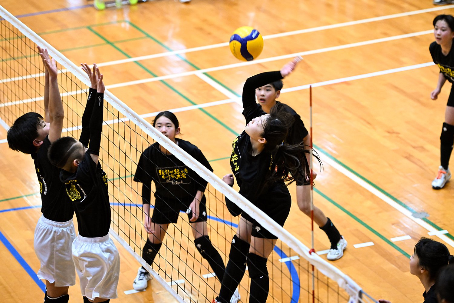 10回大会（福岡）は1月12、13日の2日間にわたって宗像市で開催