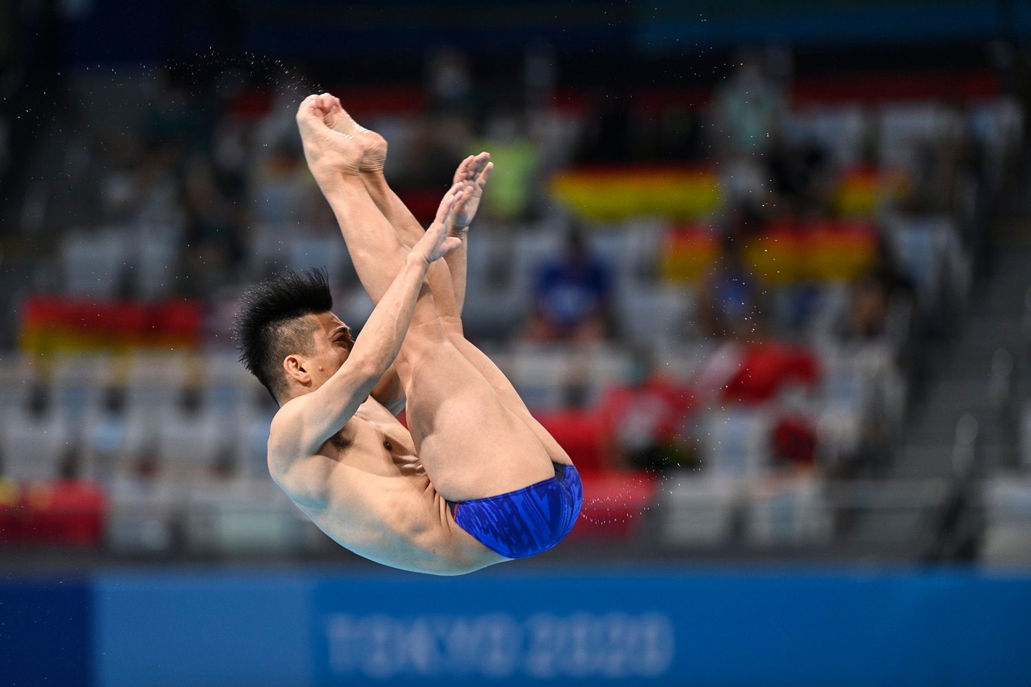 個人種目の板飛込では、13年ぶりの決勝に進出した