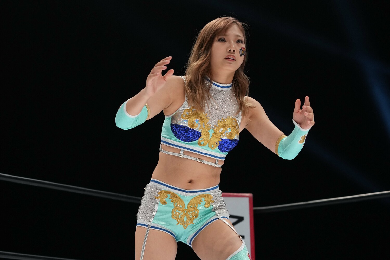 今年は出場者決定トーナメントを勝ち上がり「5★STAR GP」に出場　©Essei Hara