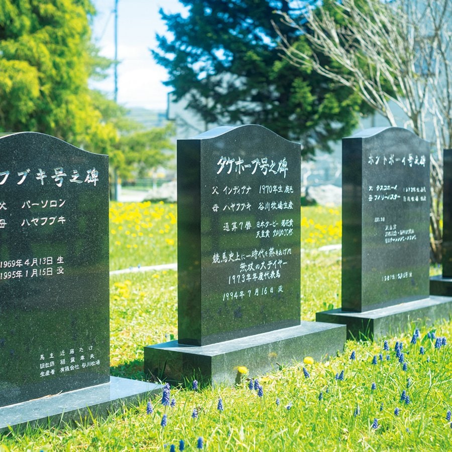 50年前に栄冠をもたらしたタケホープは'94年に24歳で世を去り、牧場内に墓碑が建てられた　Takuya Sugiyama