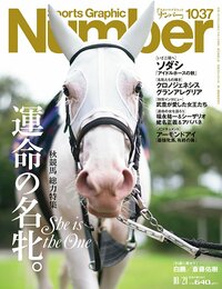 ＜秋競馬 総力特集＞運命の名牝。