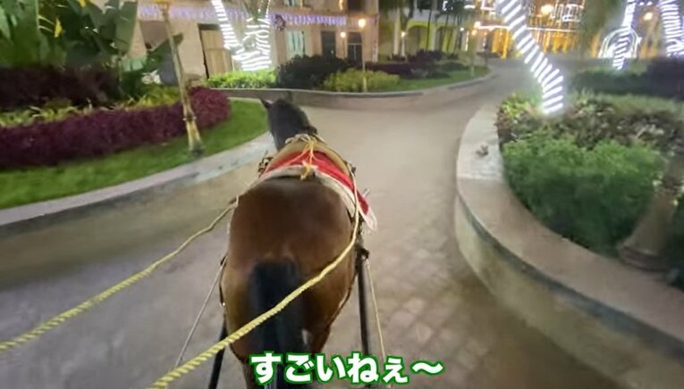 馬に乗り、馬上からリポートする乙坂　写真は乙坂智YouTubeチャンネル『NICORAZON』より