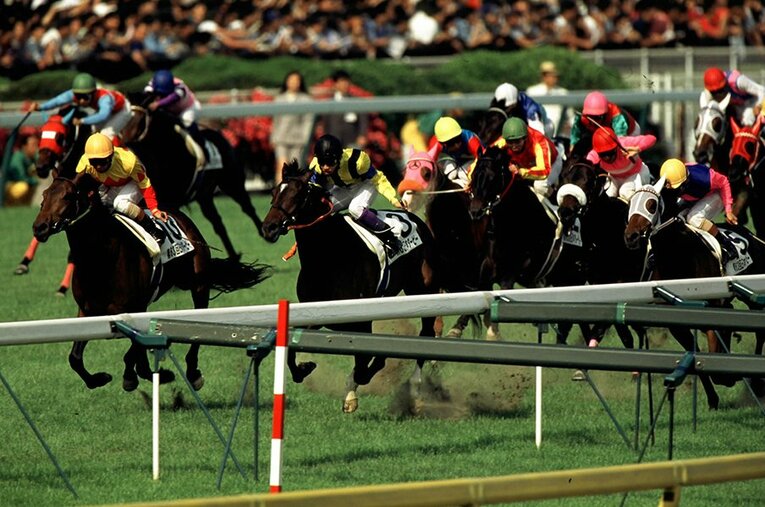 フサイチコンコルド（左）、ダンスインザダーク（左から2番目） ／ photograph by Koji Asakura