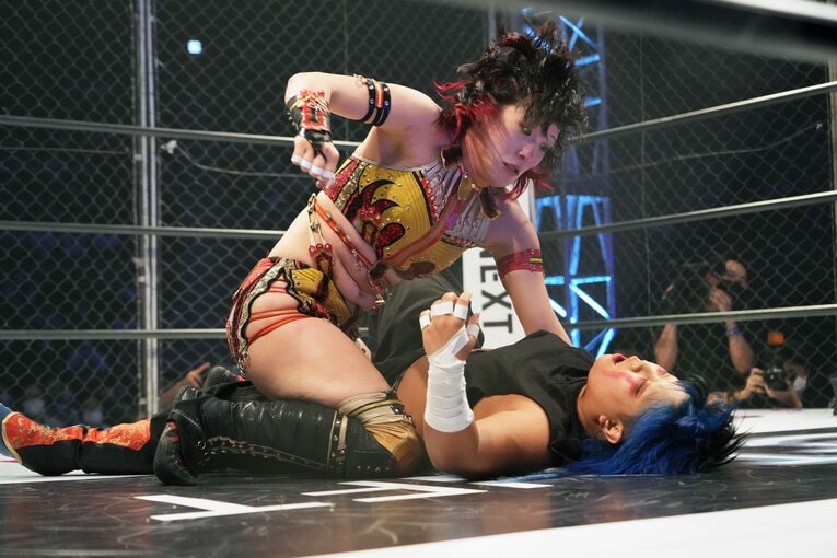 林下詩美も負けじとマウントを奪い返しパンチを放つ