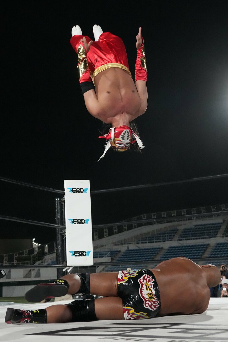 ムーンサルトを田中将斗にかわされるハヤブサ　©Essei Hara