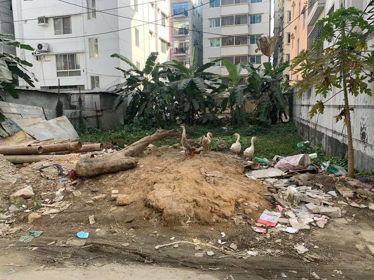 バングラデシュの街並（本人提供）