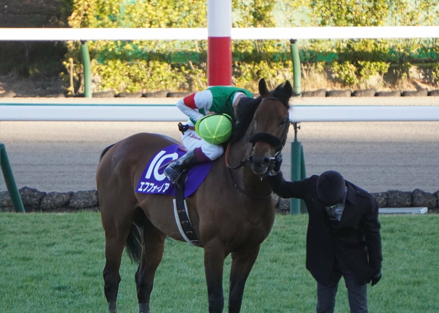 エフフォーリアの調教師がズバリ明かした 今年のレース出走プラン とは まずは大阪杯 宝塚記念もあるかも そして秋は 2 3 競馬 Number Web ナンバー