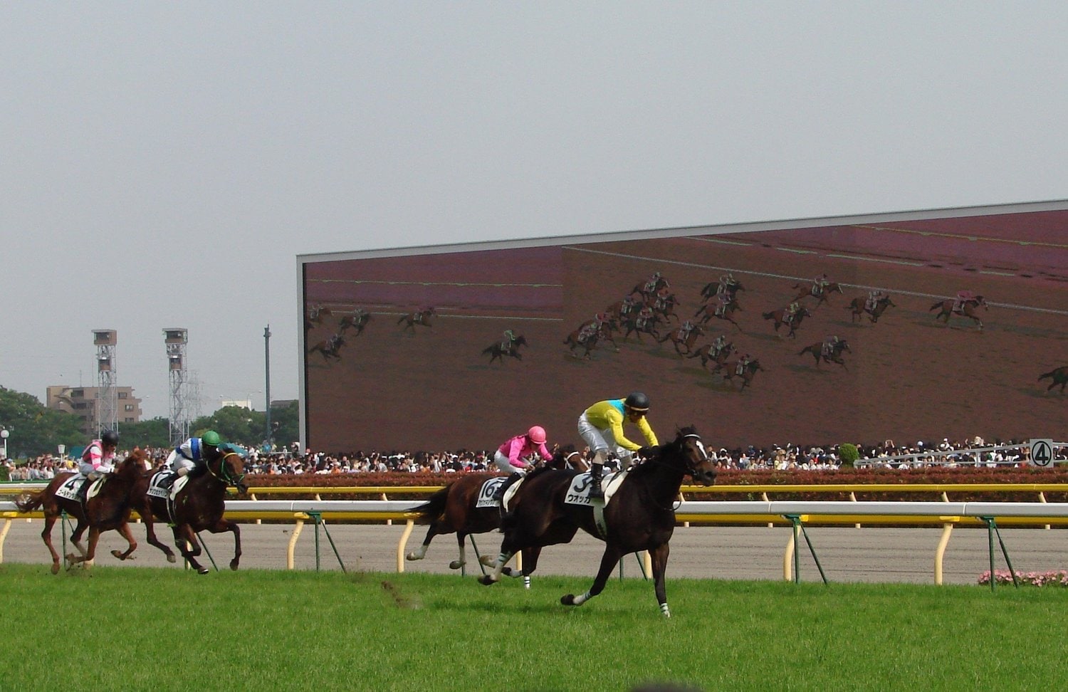 3番人気になった日本ダービーで馬群を抜け出したウオッカ