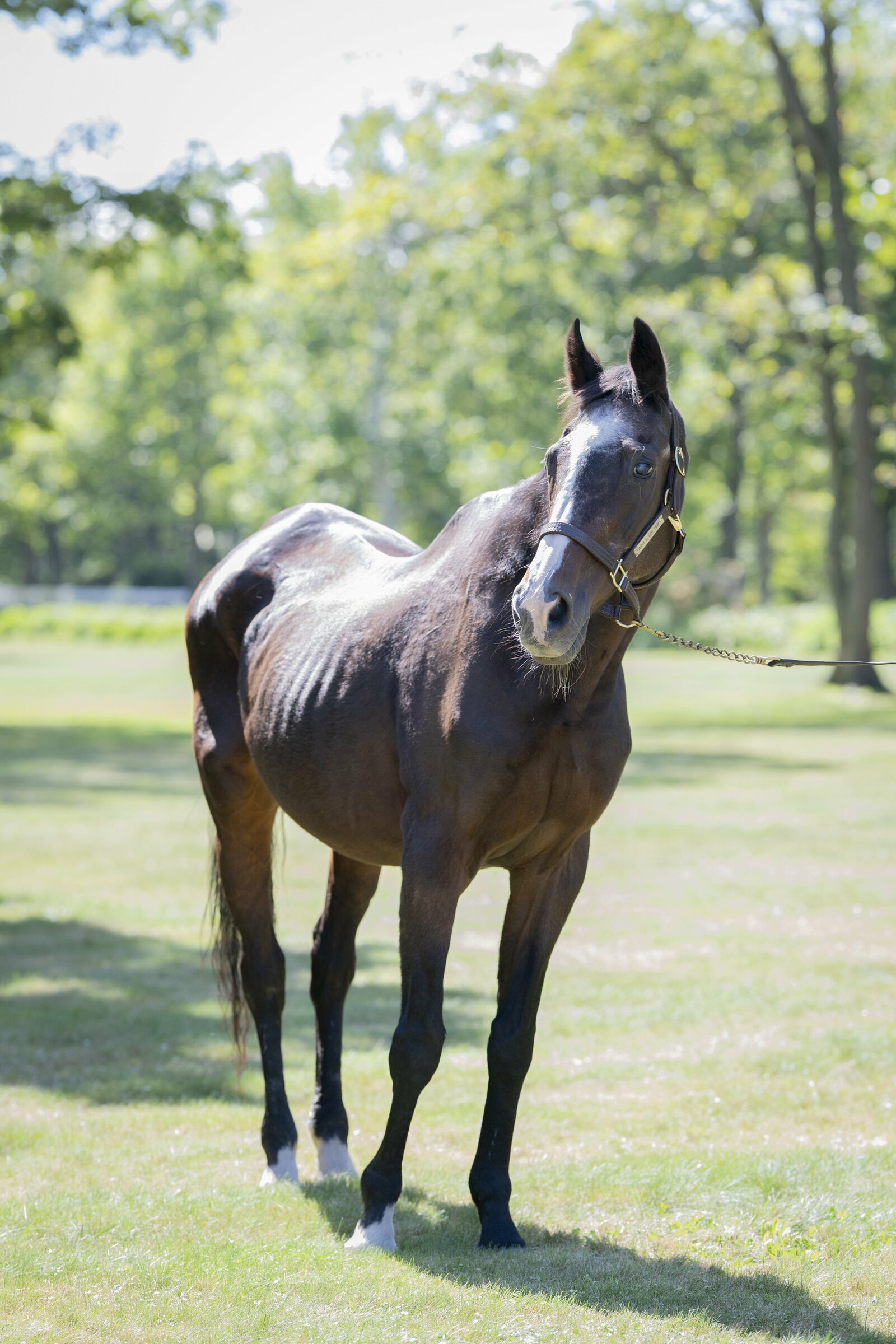 photographs by Asami Enomoto