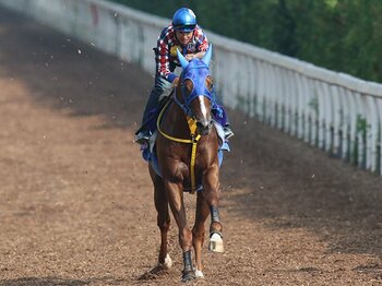 なぜか日高産馬が活躍する宝塚記念。3連覇を目指すエースか、奇跡の馬か。＜Number Web＞ photograph by Yuji Takahashi