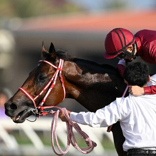 スペシャルウィークを徹底解剖 - Number Web - ナンバー