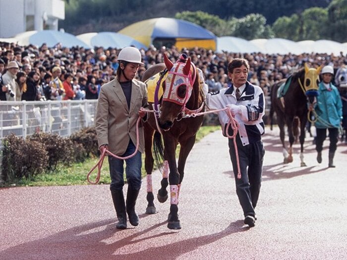 「『負け馬ばかり宣伝する』とバカにされていた」1日8億売上げ…高知競馬を救った“ハルウララ旋風”の舞台裏＜Number Web＞ photograph by フォトチェスナット