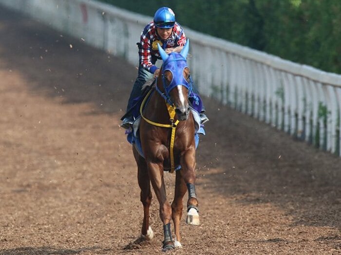 なぜか日高産馬が活躍する宝塚記念。3連覇を目指すエースか、奇跡の馬か。<Number Web> photograph by Yuji Takahashi