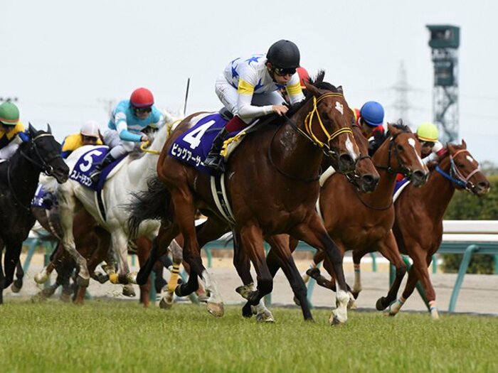 出走前からレコードはわかっていた?高松宮記念が超高速で決着した理由。<Number Web> photograph by NIKKAN SPORTS
