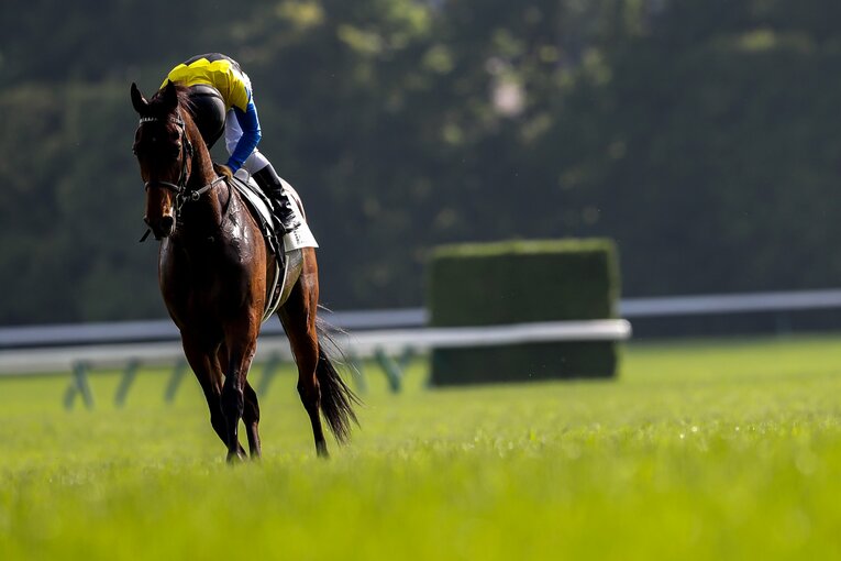 第83回（2016年）日本ダービーを制したマカヒキと川田将雅　©︎Kiichi Matsumoto