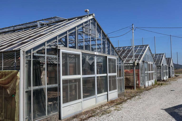 グラウンドの奥には農業高校らしいビニールハウスも　©Fumi Sawai