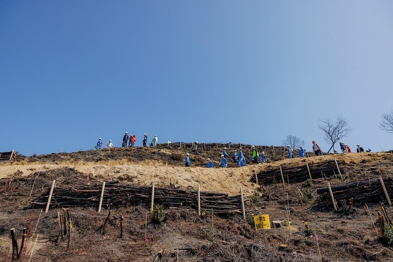 斜面には黒い土と焦げた幹だけが残り、山肌がむき出しになっている