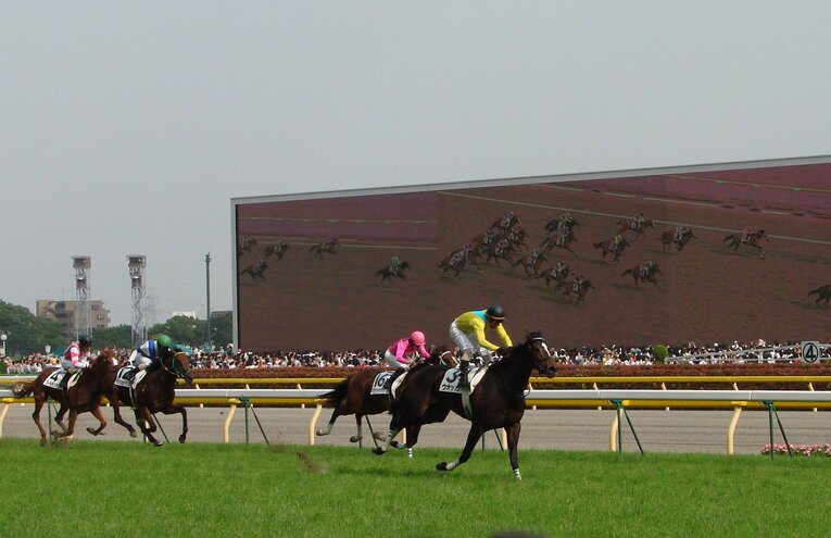 3番人気になった日本ダービーで馬群を抜け出したウオッカ