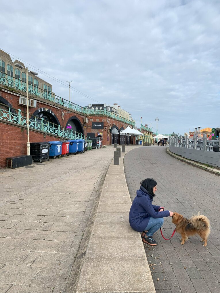 オシャレなブライトンの町並み　©Yoichi Igawa　