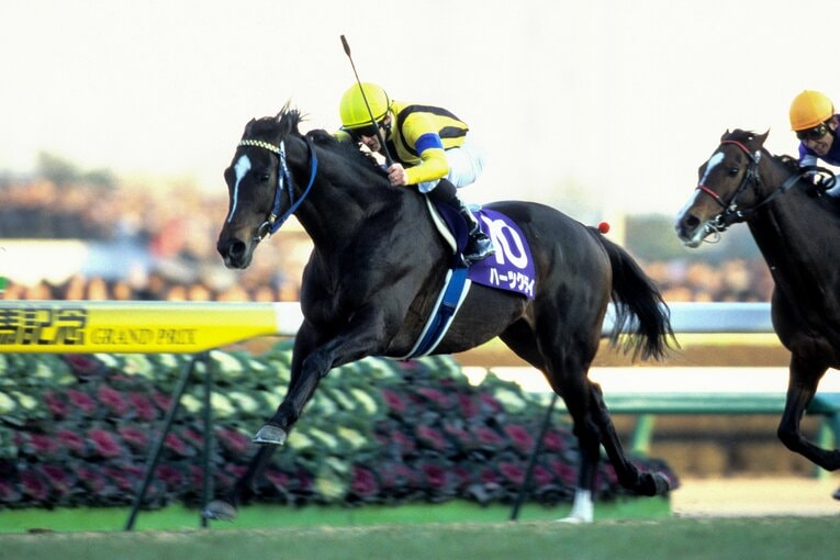 人馬ともステップアップにつながる貴重な勝利。無敗馬ディープをわずかに退けた　©フォトチェスナット