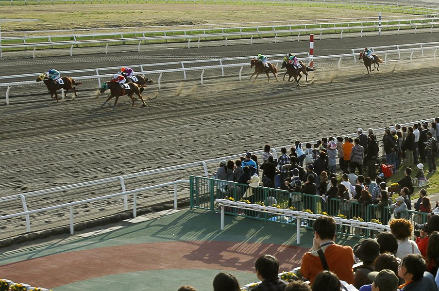 800頭の被災馬と競馬を守る人たち。馬や騎手のためにも早期再開を祈る。<Number Web> photograph by Kyodo News