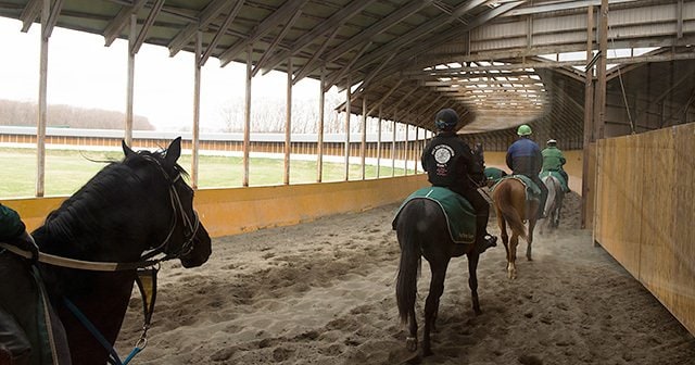 ノーザンファーム早来と空港牧場の違いは？生産馬表記の謎と社台グループ本場の実態を徹底解説