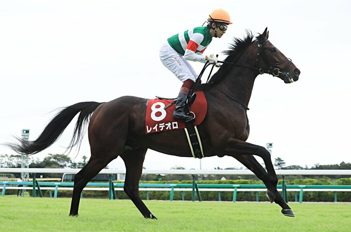 ジャパンカップ史上初の外国馬ゼロ。強い日本馬と、集った世界の名騎手。 - 競馬 - Number Web - ナンバー