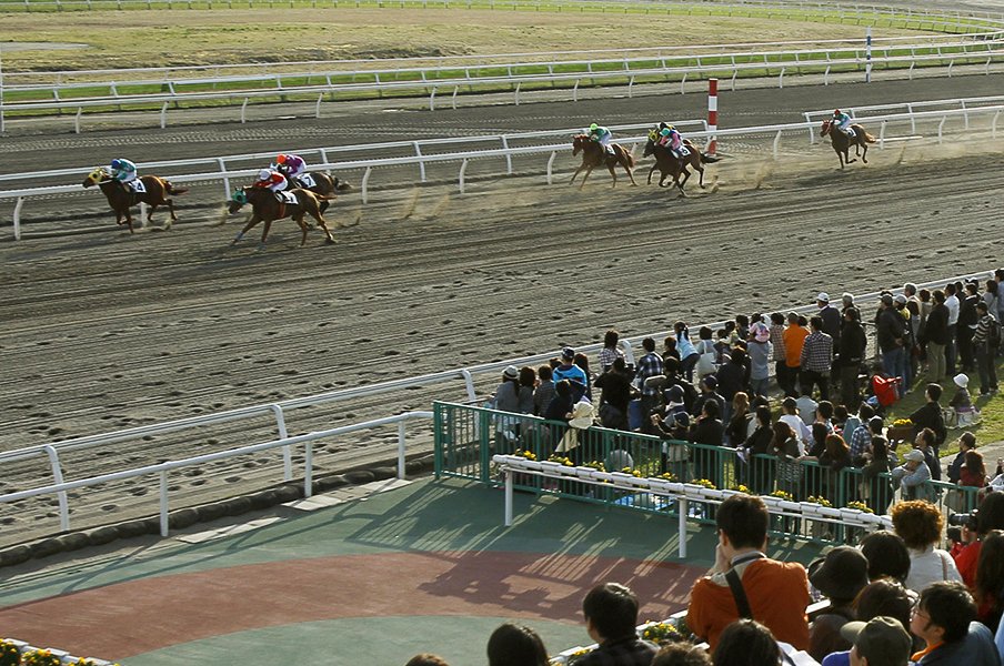 800頭の被災馬と競馬を守る人たち。馬や騎手のためにも早期再開を祈る。＜Number Web＞ photograph by Kyodo News