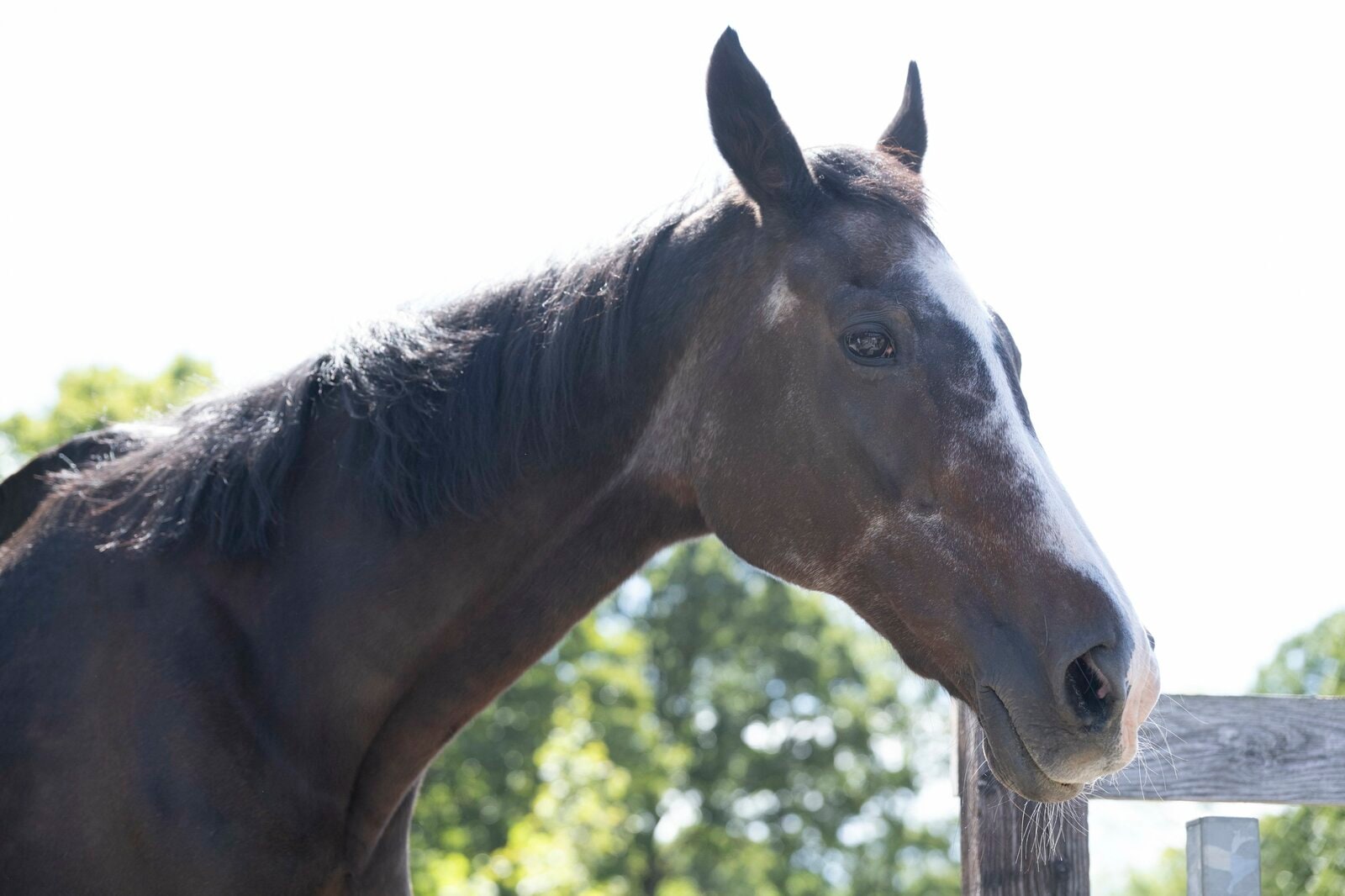 photographs by Asami Enomoto