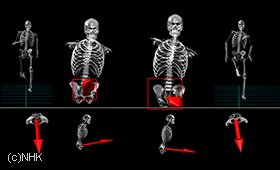 解析からは、骨盤が大きく揺れ、左右非対称な動きをすることが判明。通常は減速につながる特徴だが。