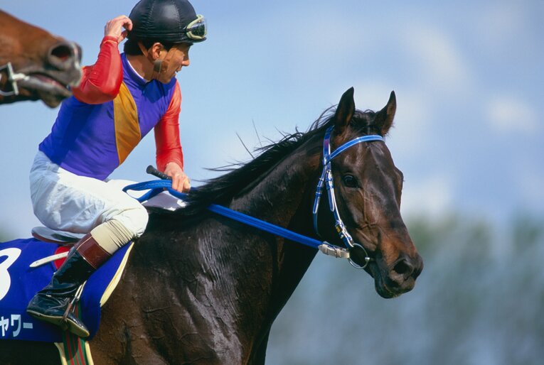 名ステイヤーと言われたライスシャワー　©Tomohiko Hayashi