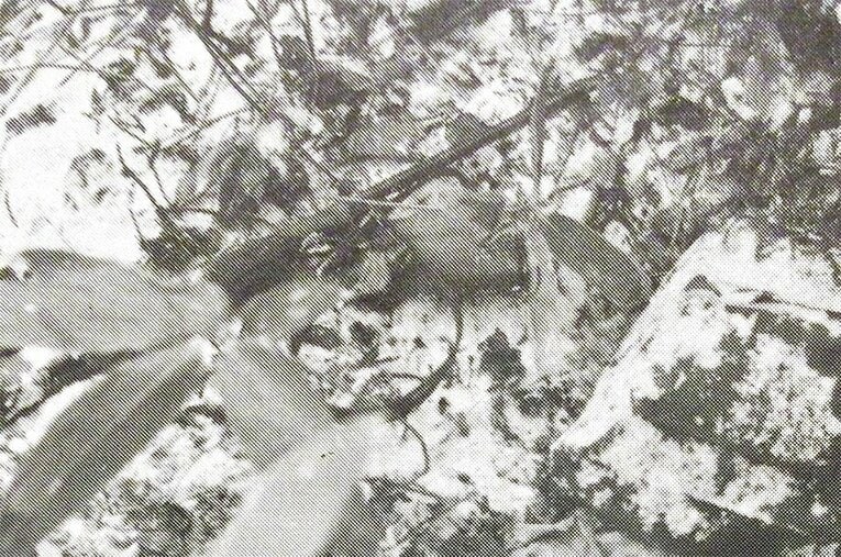 発見された銃把の部分が折れたAさんの猟銃　（提供:門崎允昭氏）