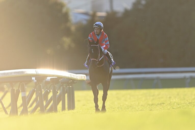 有終の美を飾ったコントレイル。人馬を祝福するように、晩秋の陽光が降り注ぐ　©Keiji Ishikawa