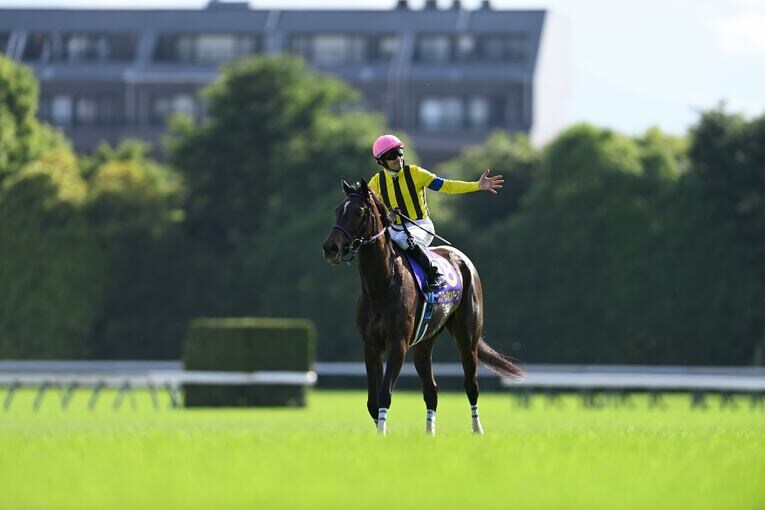 オークス直前に顔面を蹴られて放馬…発走“15分の大遅延”はなぜ起きたのか？「多くの馬の戦いは、スタート前に終わってしまった」(8)