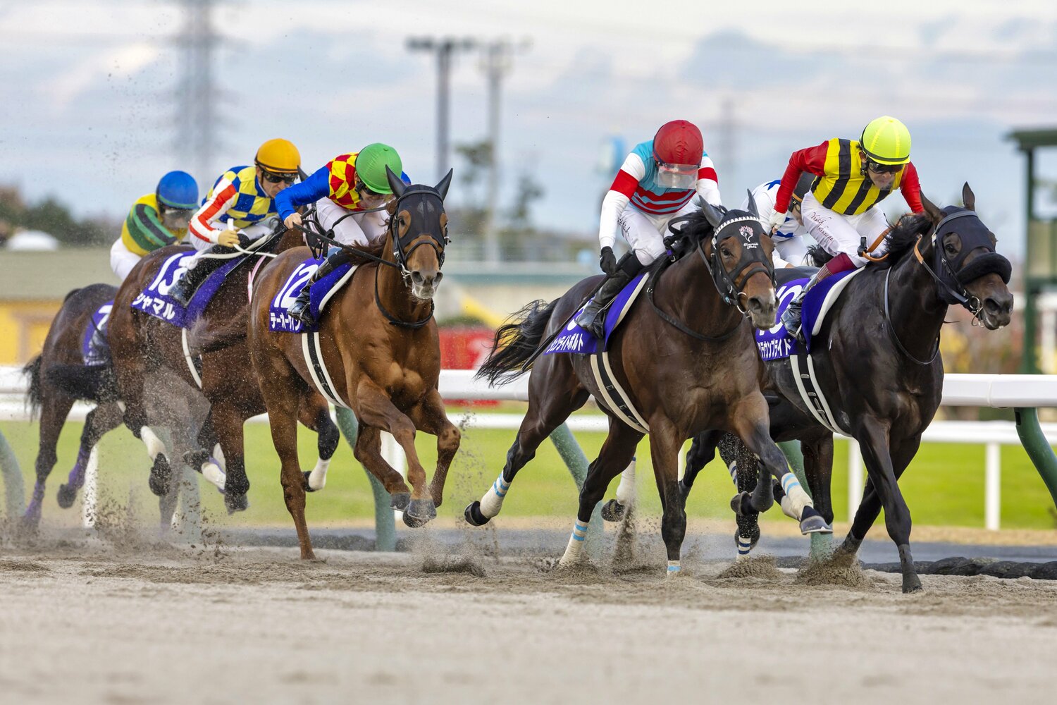 人馬ともにGI初制覇となったジュンライトボルトと石川裕紀人 ©Photostud