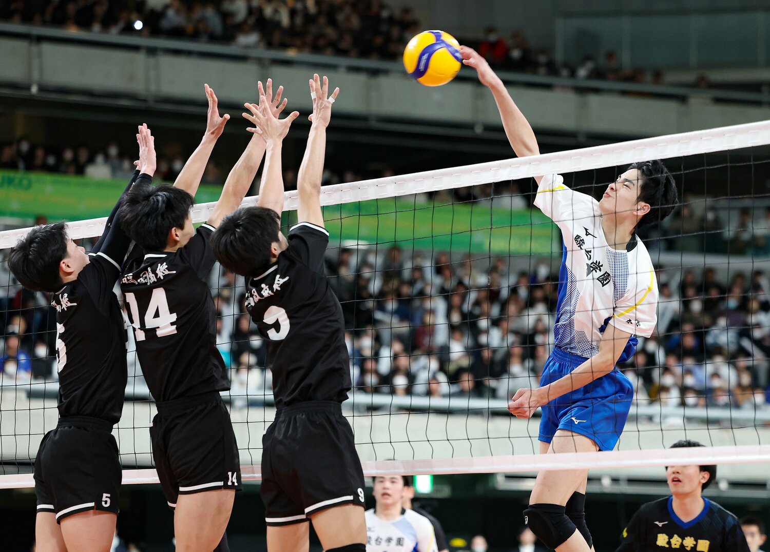 最優秀選手に選ばれた川野琢磨をはじめ、多くのタレントが揃う駿台学園。熾烈な競争を勝ち抜いた6人がコートに立つ　©︎JIJI PRESS