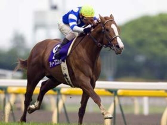 いよいよ始まる秋競馬、今年はこの2頭に注目。＜Number Web＞ photograph by Kiichi Yamamoto