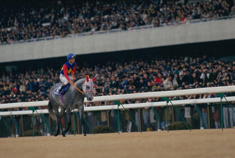 秘話〉有馬出走直前「おい、お前オグリキャップやからな」 武豊の一喝が“芦毛のアイドル”を伝説の名馬にした - 競馬 - Number Web -  ナンバー