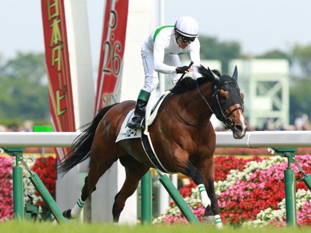JRA】2019 日本ダービー優勝馬 ロジャーバローズ Tシャツ М 競馬
