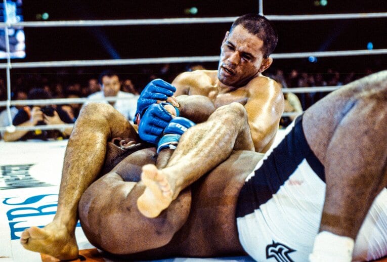 スタミナが切れたサップから腕十字で一本を奪うと、国立競技場は大歓声に包まれた