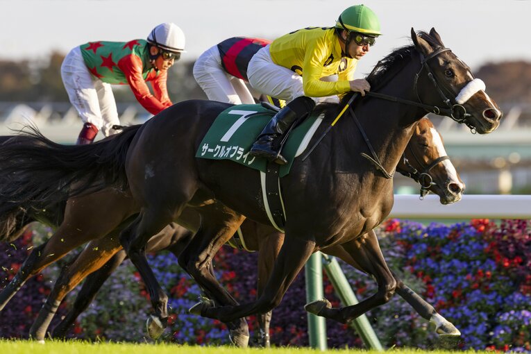 アルテミスSを制したサークルオブライフ