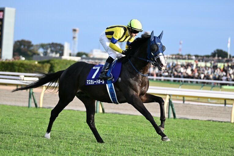 マスカレードボールの返し馬　©Keiji Ishikawa