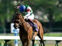 エフフォーリア&横山武史「無敗二冠へ、怖いものなし」~大本命の勝算~.gsub(/