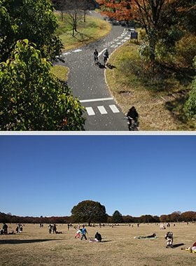 東京ではないようでやはり東京。青梅に福生、下り坂ポタリング