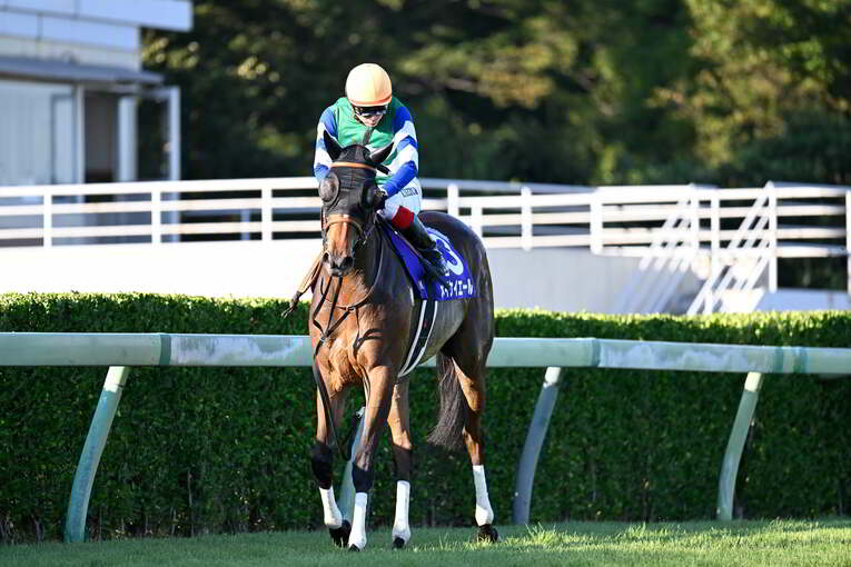 1番人気に支持されたメイケイエールは本来の走りができず14着　©Keiji Ishikawa