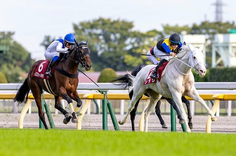 前走・府中牝馬Sでは2着だったソダシ。マイルCSでは、3歳世代や強豪古馬勢らとの戦いとなる ／ photograph by Photostud