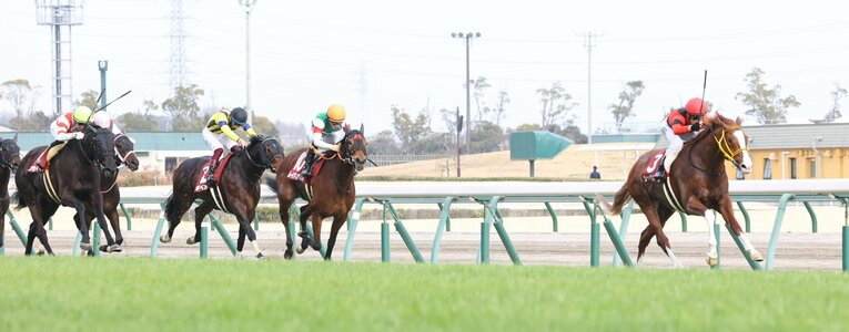 金鯱賞で逃げ切り勝ちを収めたジャックドール　©JIJI PRESS