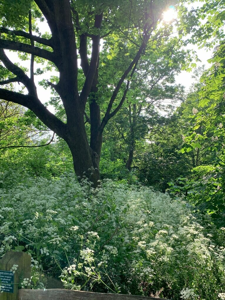 オシャレなブライトンの町並み　©Yoichi Igawa　
