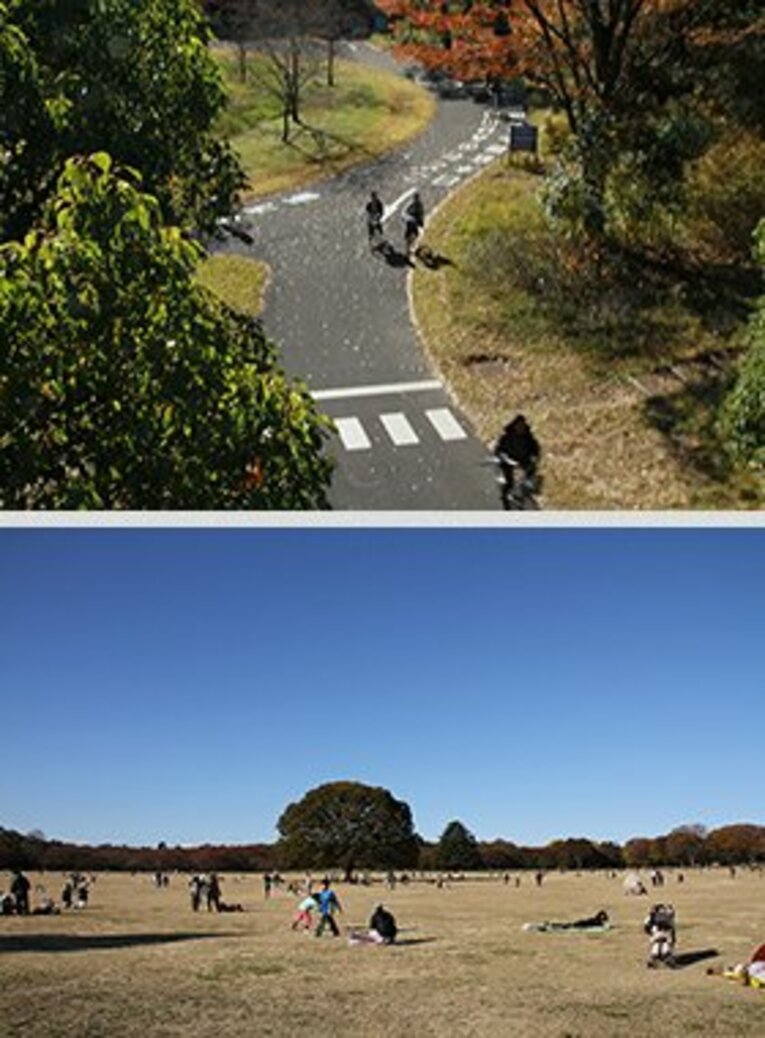 昭和記念公園のサイクリングコースと、あまりにも広大な公園の広場。